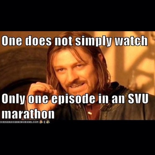 Image result for stay calm and watch law and order svu