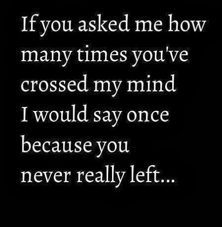 How many times you’ve crossed my mind
Follow best love quotes for more great quotes!