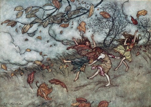 pagewoman:
“ Autumn fairies dancing in the wind.
Illustrated by Arthur Rackham.
”