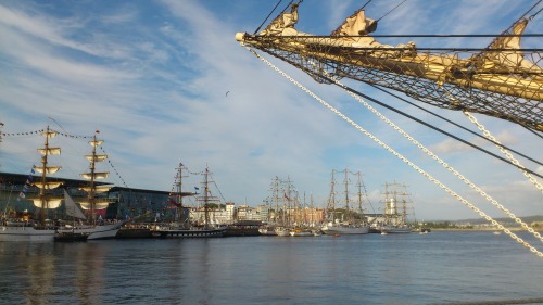 juanmubou:
“Tall ships in Coruña, three years ago. Photographer juanmubou
”