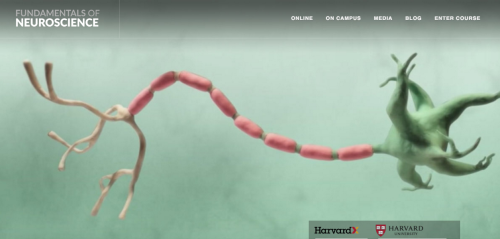 sixpenceee:
“Harvard University offers a completely free online course on the Fundamentals of Neuroscience that you can get a certificate for successfully completing and which requires nothing other than basic knowledge in Biology and Chemistry. This...