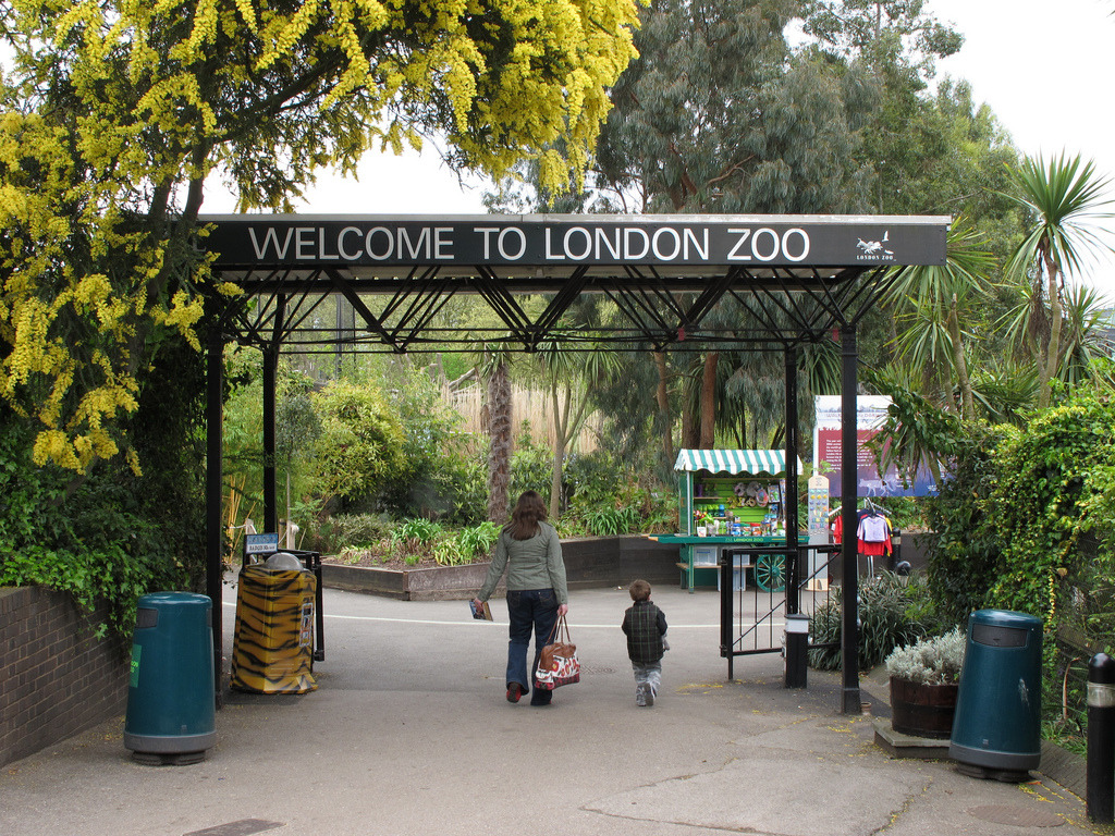 The London Zoo - best zoos in the world