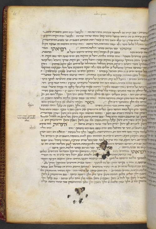 jewishhenna:
“ So apparently the “cat walked across my wet manuscript” thing can happen to Hebrew manuscripts too!
Avicenna’s Canon in Hebrew translation, Italy, 15th century; BL Harley 5707, image courtesy of Zsófi Buda.
”