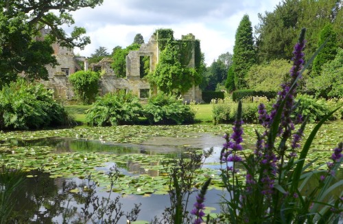 pagewoman:
“  Scotney Castle, Lamberhurst, Kent, England
by Fiona Dunlop
”
Ruin gardening