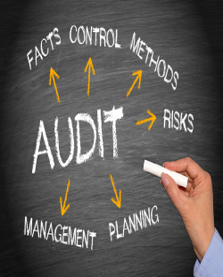 Auditors in South Africa