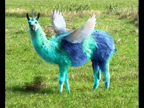 Blue llama (Male, request) - » ĨṭṣÃℳℯṭȧ℘ℌℴṛ « Minecraft Skin