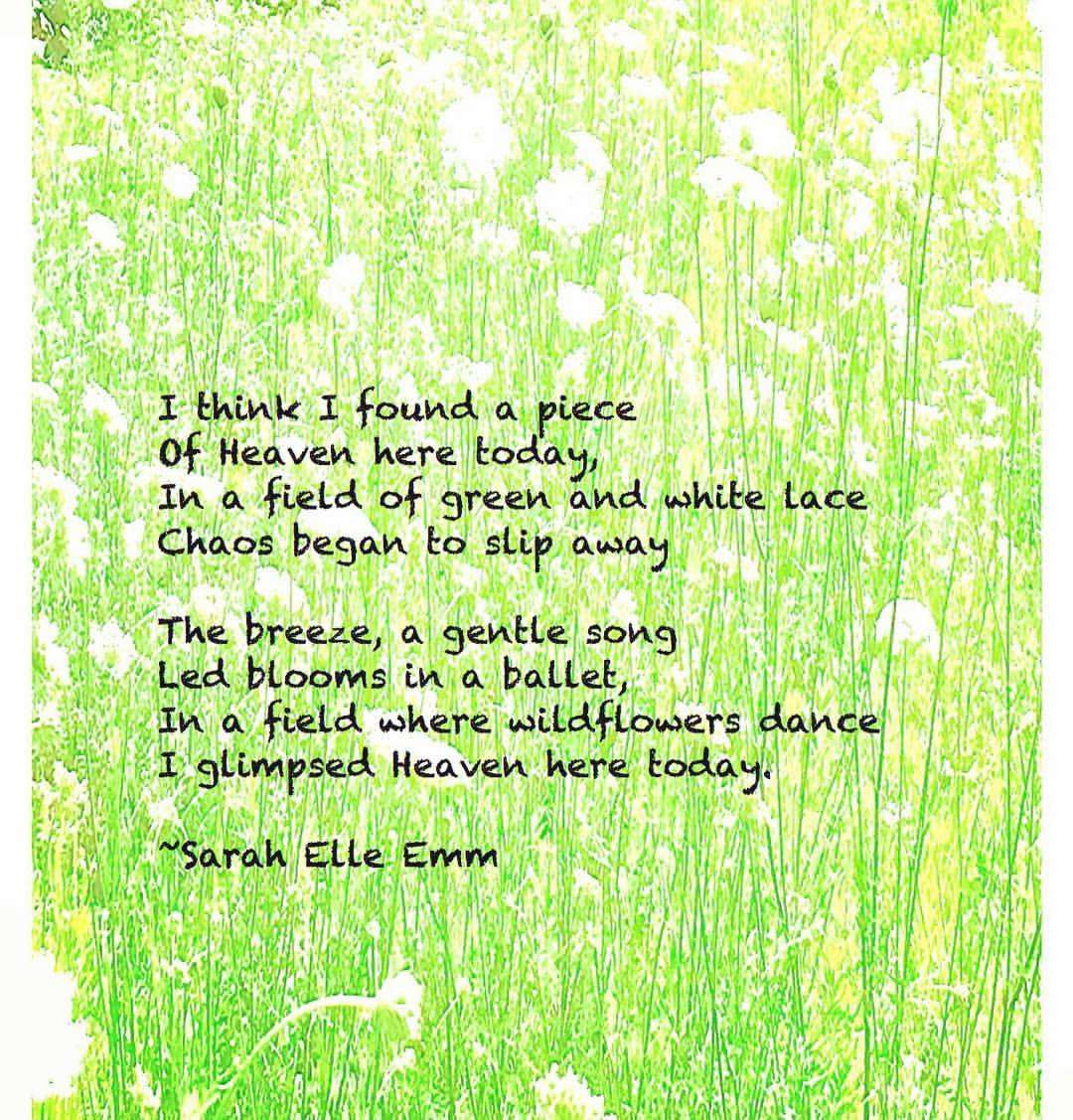 Lace 🖊🌸 #poetry #wildflowers #beauty #Heaven #peace #love #outdoors #writersofinstagram #poetsofinstagram #poet #words #musings #writing #arts #create #nature #QueenAnnesLace #blooms #Indiana #Hoosiers #walking