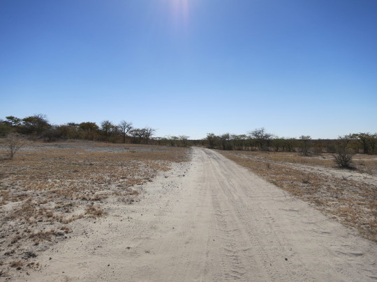 Aventura 4x4 por Botswana y Namibia - Blogs de Africa Sur - Serowe-Kubu Island (8)
