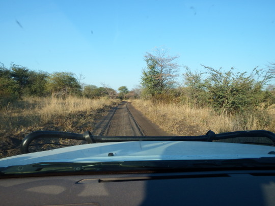 Paliza de coche Kasane-Ngepi camp ( Namibia, franja del Caprivi) - Aventura 4x4 por Botswana y Namibia (18)
